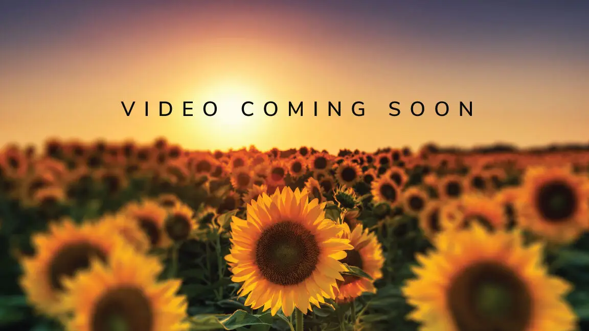 Video Coming Soon
